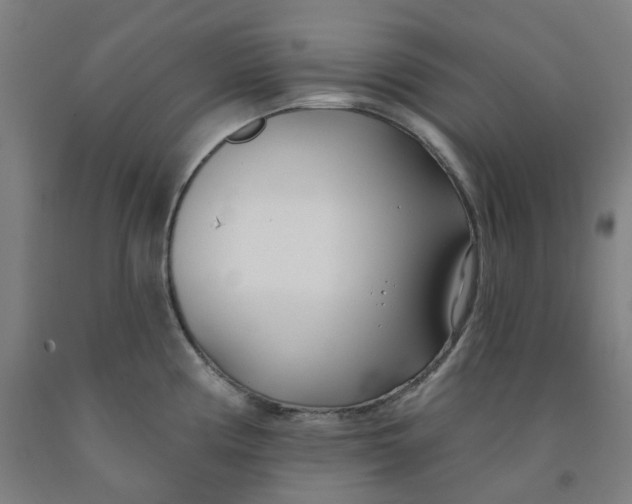 X0000091991194200709271441