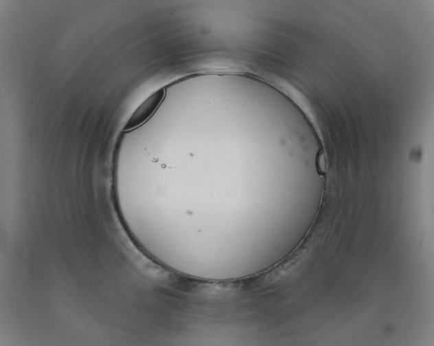 X0000091991195200709271441