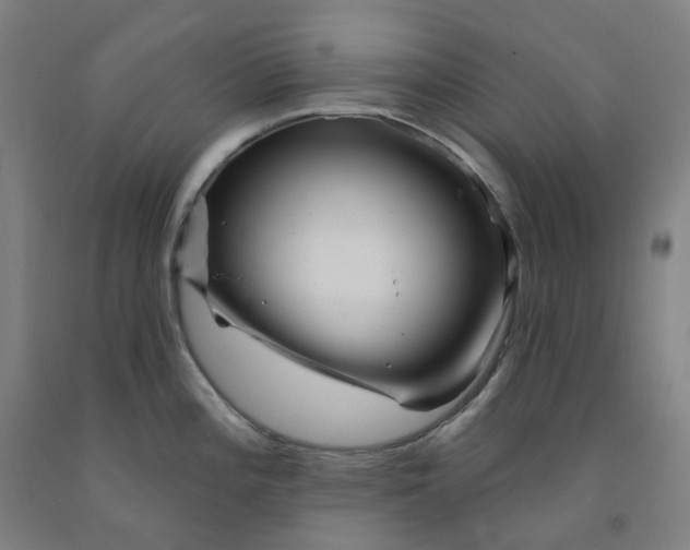 X0000091991196200709271441