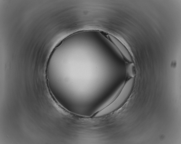 X0000091991197200709271441