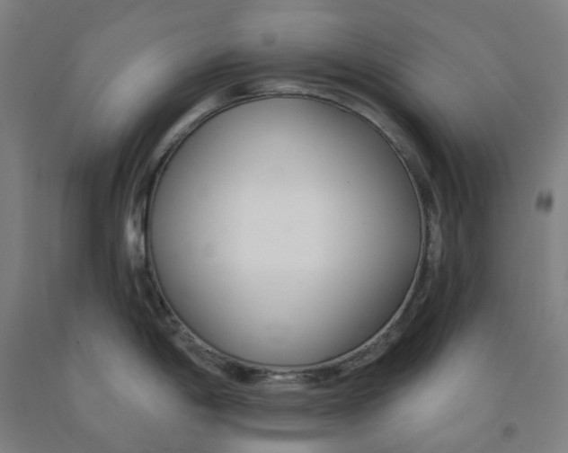 X0000091991198200709271441