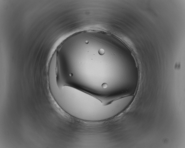 X0000091991200200709271441