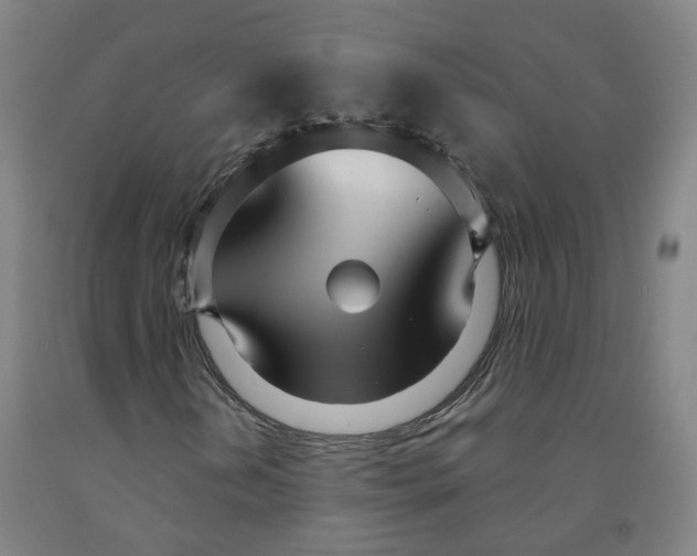 X0000091991202200709271440