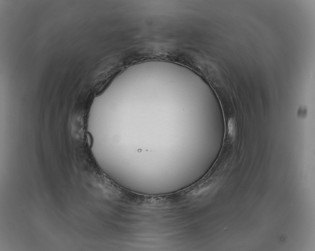 X0000091991203200709271440