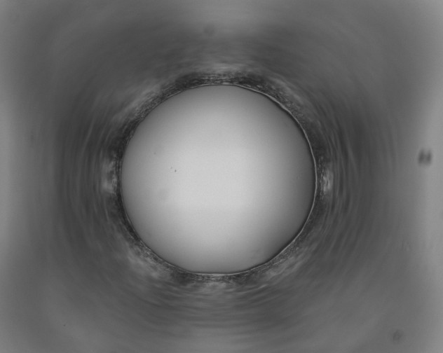 X0000091991204200709271440