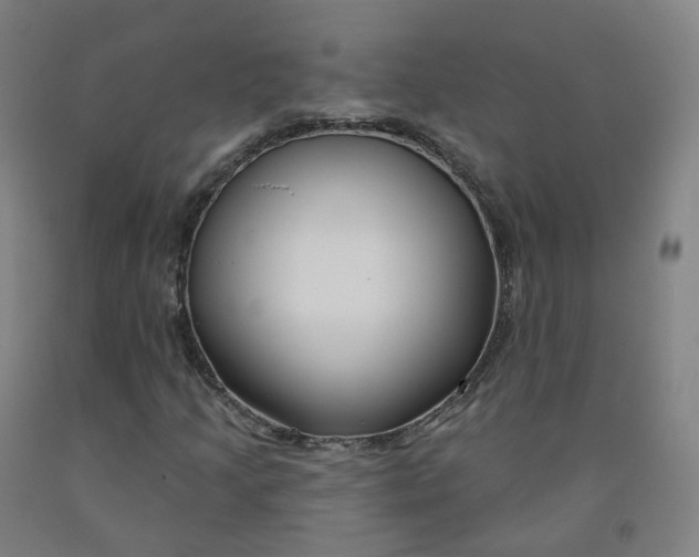 X0000091991205200709271440