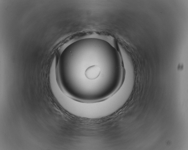 X0000091991206200709271440