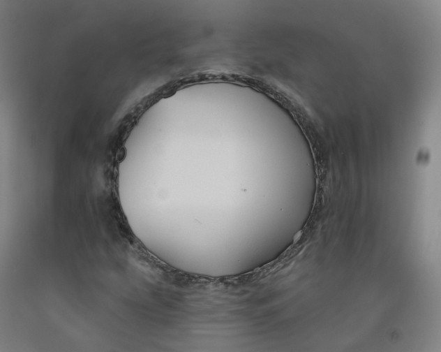 X0000091991207200709271440