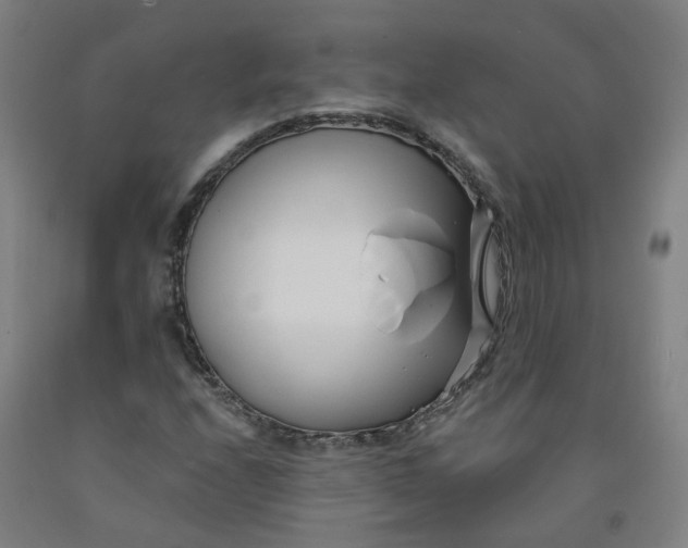 X0000091991208200709271440