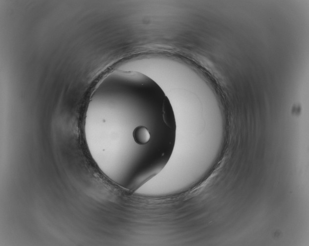 X0000091991209200709271440