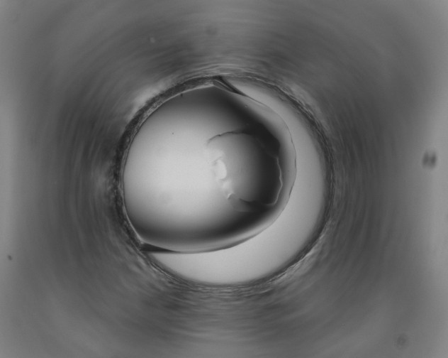 X0000091991210200709271440