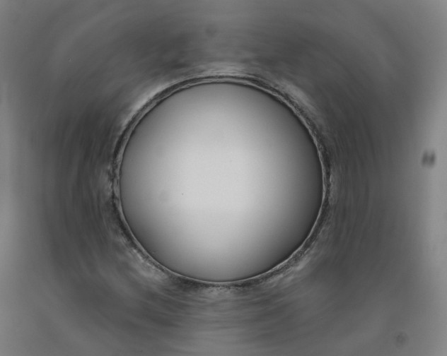 X0000091991212200709271441