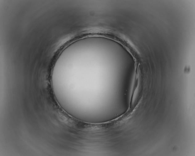 X0000091991213200709271441