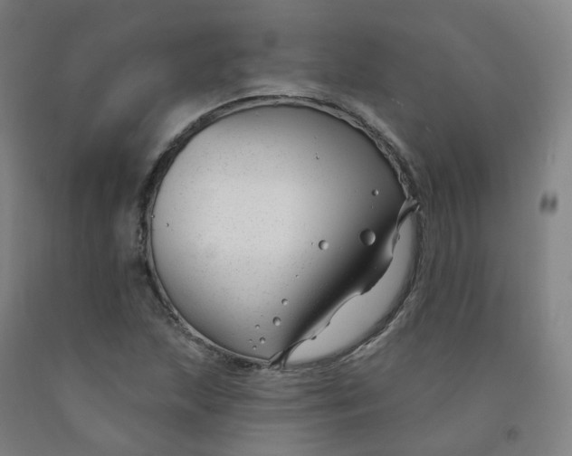 X0000091991215200709271441