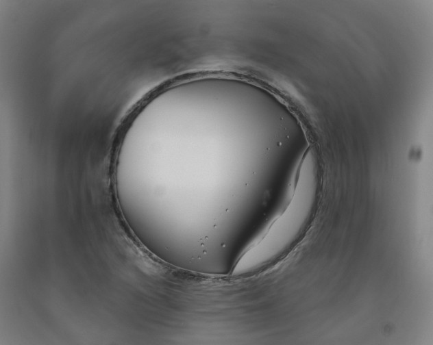 X0000091991216200709271441