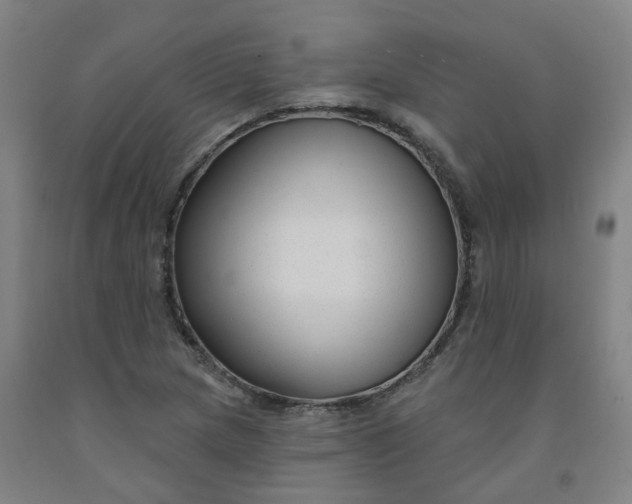 X0000091991217200709271441