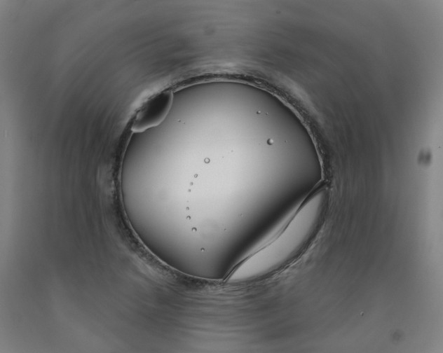 X0000091991218200709271441