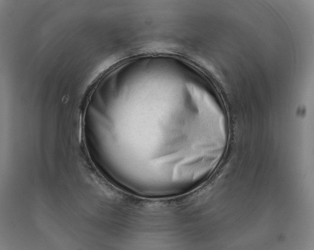 X0000091991219200709271441