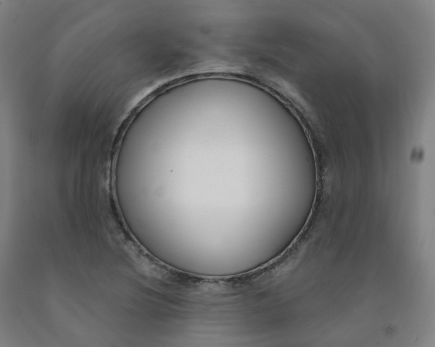 X0000091991220200709271441