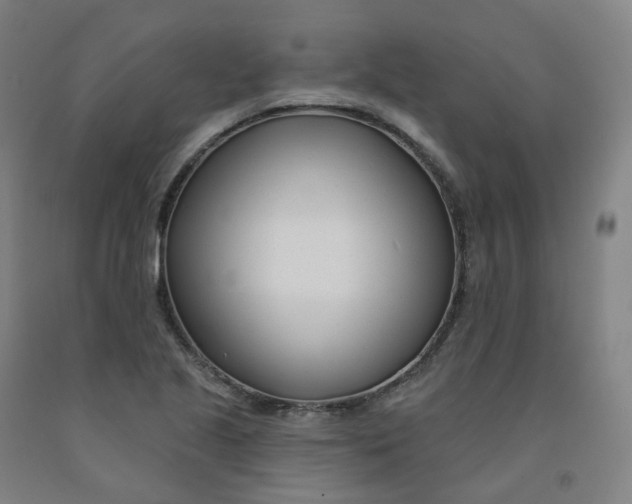 X0000091991221200709271441