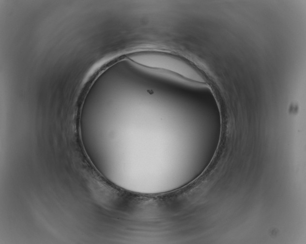 X0000091991222200709271441