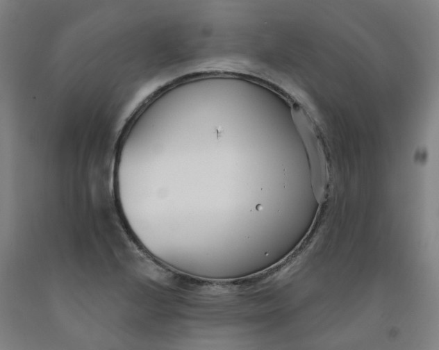 X0000091991224200709271441