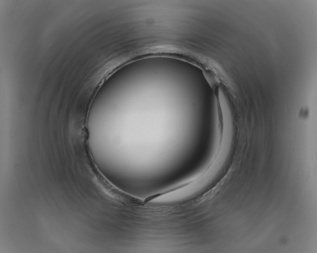 X0000091991225200709271441