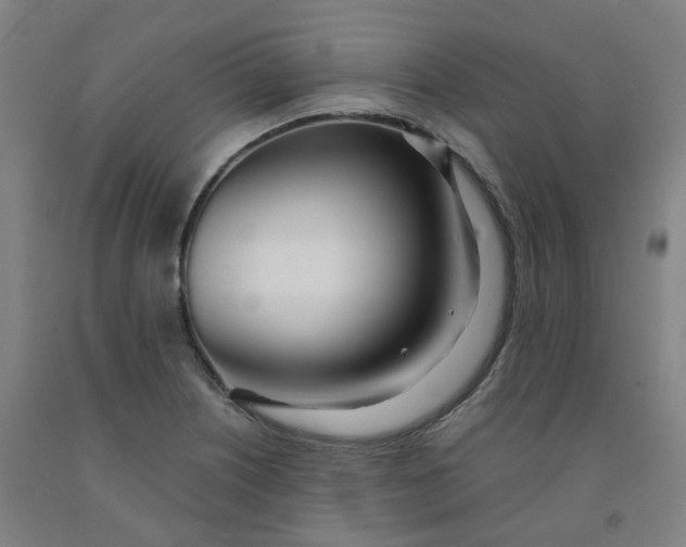 X0000091991226200709271441