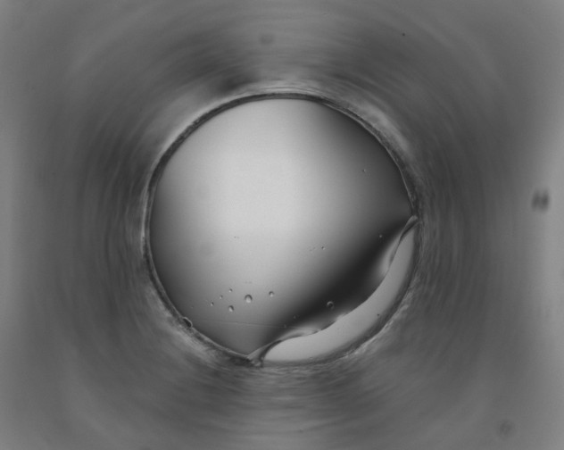 X0000091991228200709271441