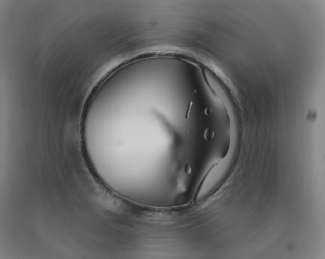 X0000091991229200709271441