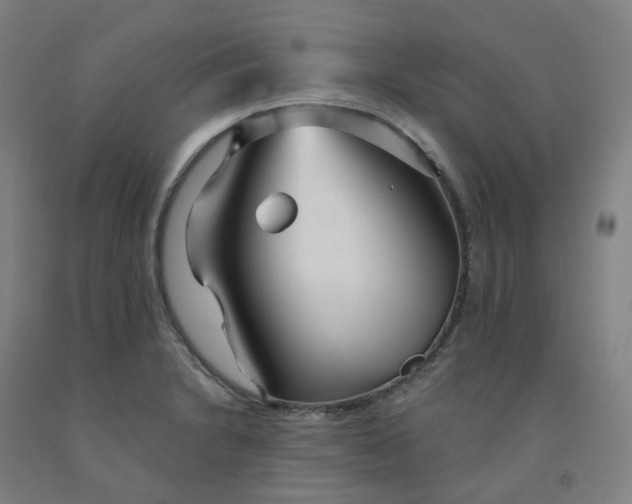 X0000091991230200709271441