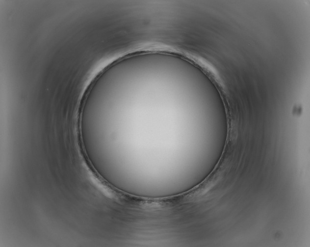 X0000091991231200709271441