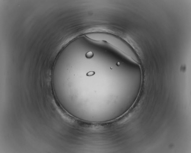 X0000091991233200709271441