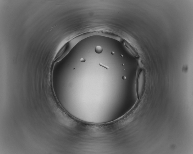 X0000091991234200709271441