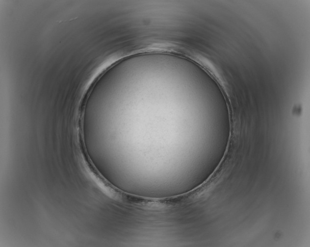 X0000091991235200709271441