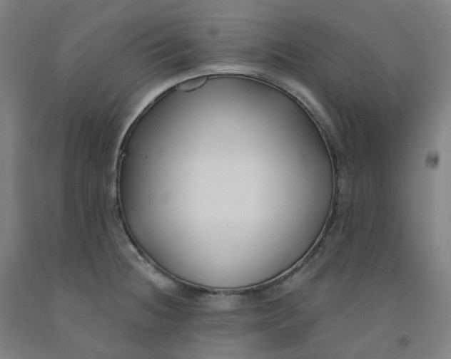 X0000091991236200709271441