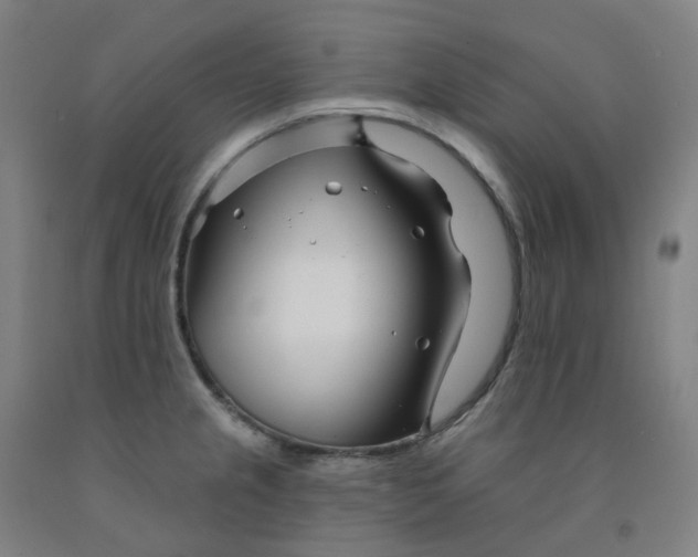 X0000091991237200709271441