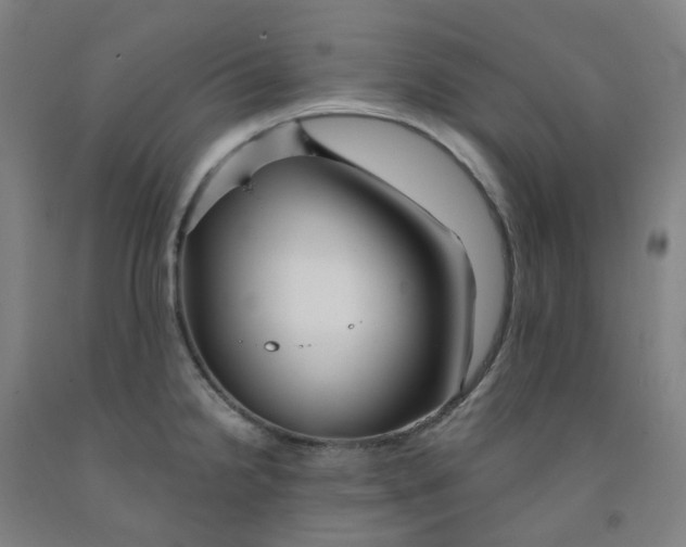 X0000091991238200709271441