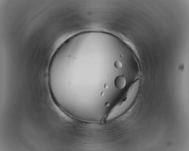 X0000091991239200709271441