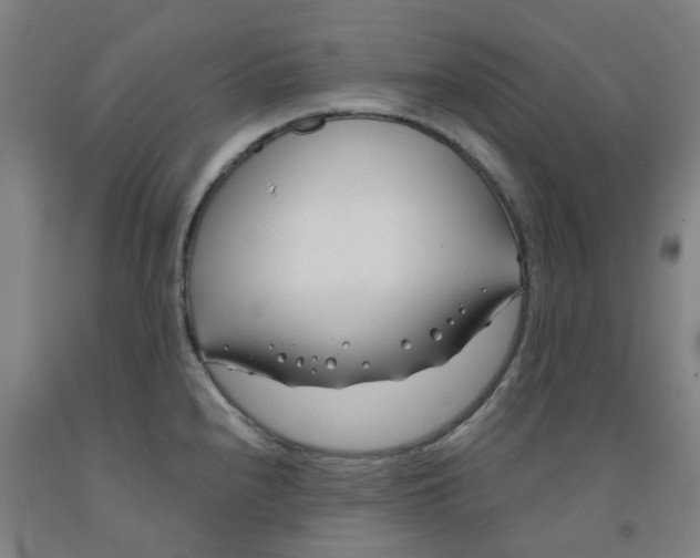 X0000091991240200709271441