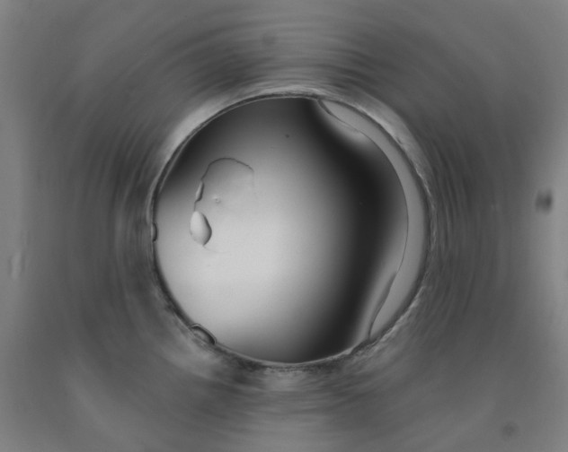 X0000091991242200709271441