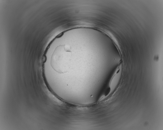 X0000091991243200709271441