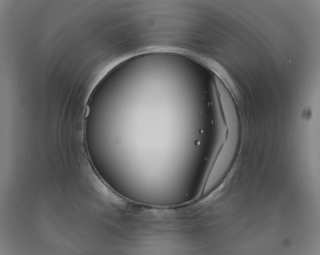 X0000091991244200709271441