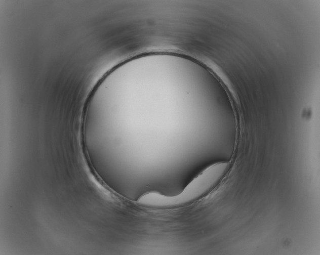 X0000091991245200709271441