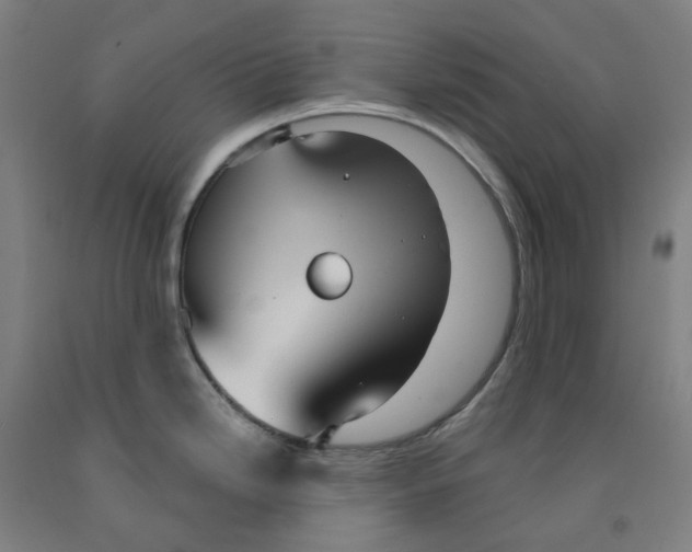 X0000091991246200709271441