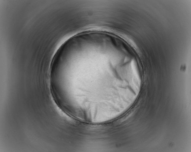 X0000091991247200709271441