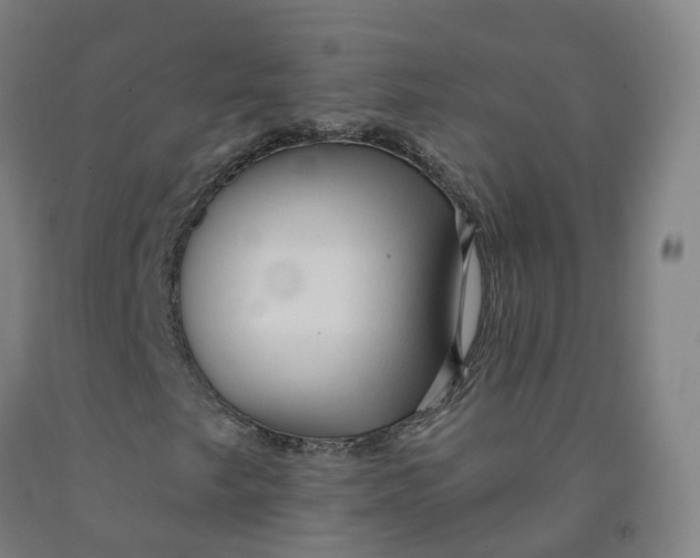 X0000091991249200709271440