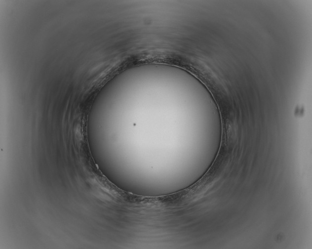 X0000091991250200709271440