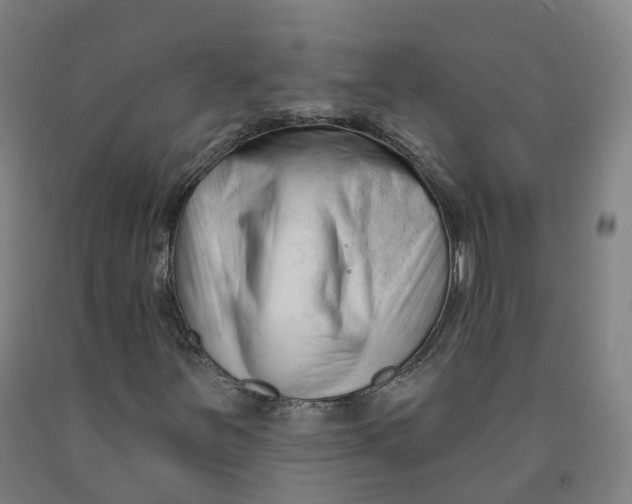 X0000091991251200709271440