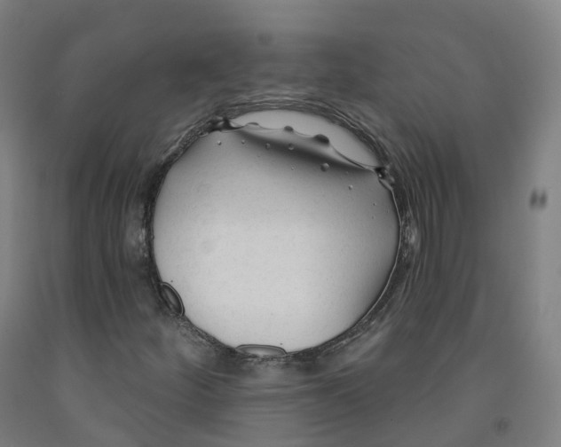 X0000091991252200709271440